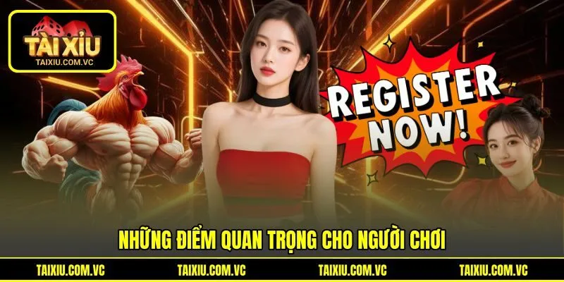Những điểm quan trọng cho người chơi Những điểm quan trọng cho người chơi